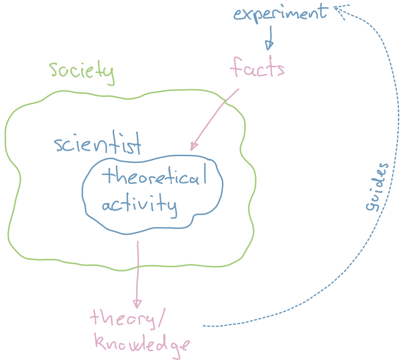 The place of the scientist on the social order