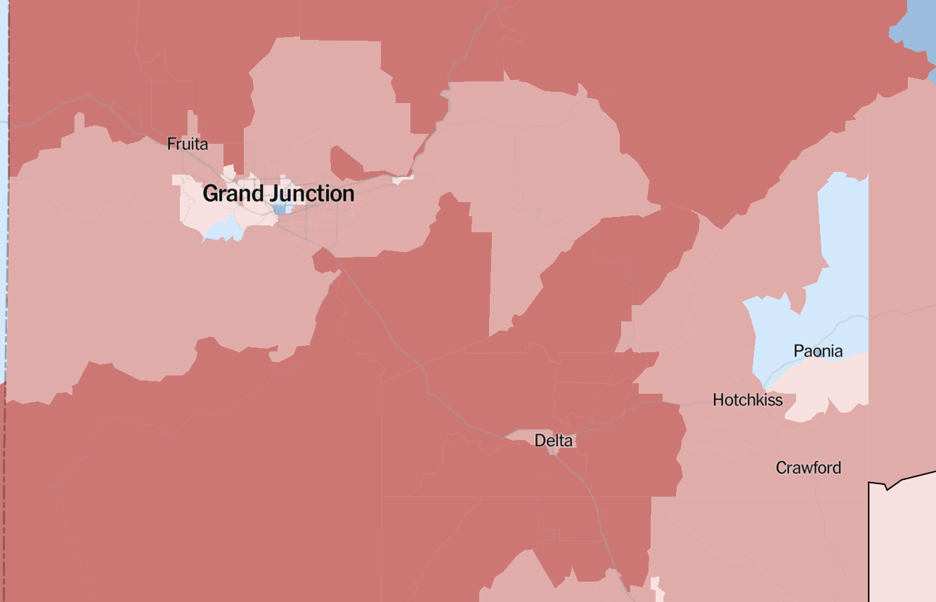 Mesa county 2020 political map